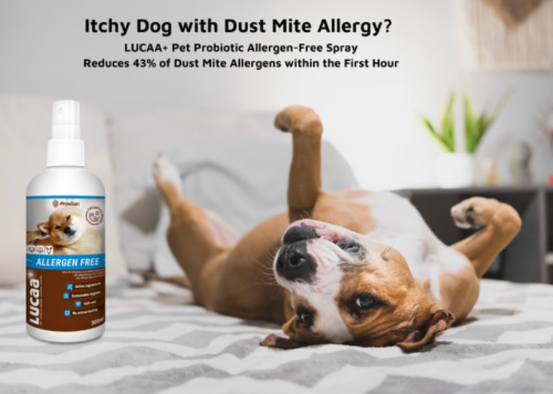 LUCAA+ Pet Probiotic Allergen-Free 300ml