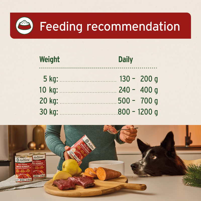 AniForte Winter Reindeer - Wet Food for Dogs 400g