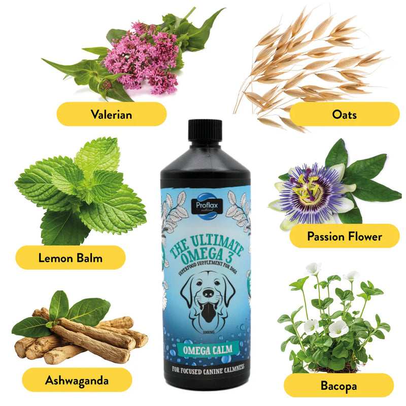 Proflax Omega Calm Oil for Dogs – 250ml