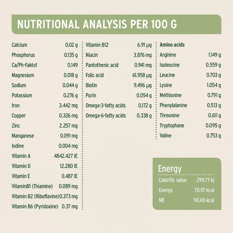 AniForte Pure Horse - Wet food for Dogs 400g
