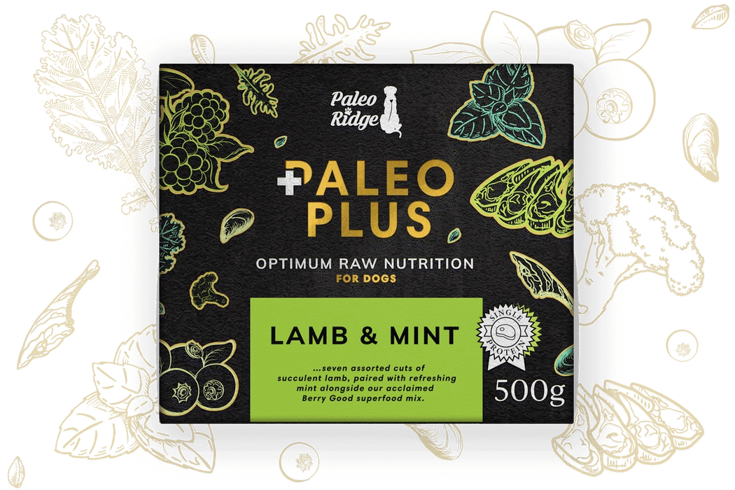 Paleo Plus Lamb and Mint 500g