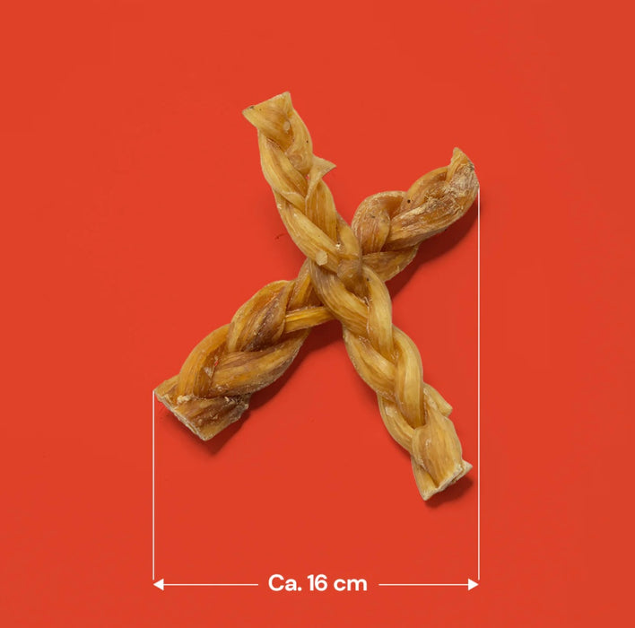 Braided Tendon