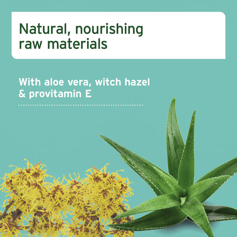 AniForte Care Wipes - 100 Pack