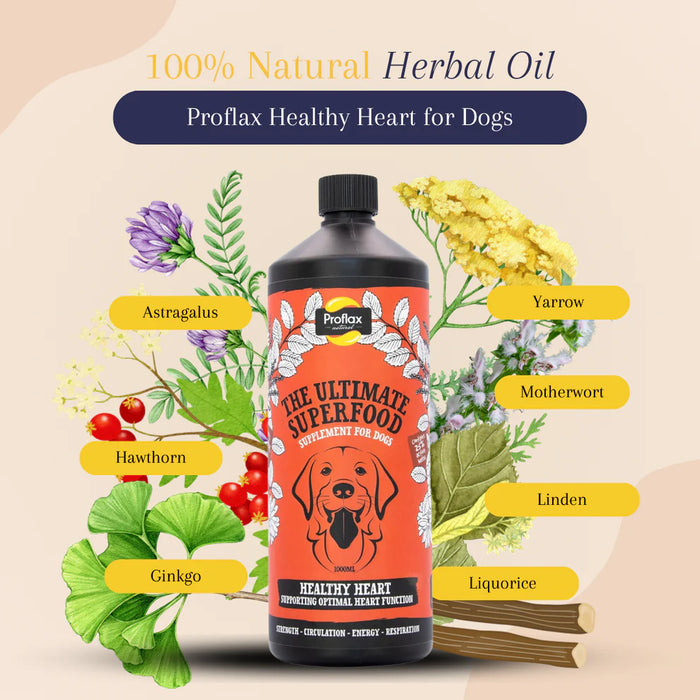 Proflax Healthy Heart 100ml