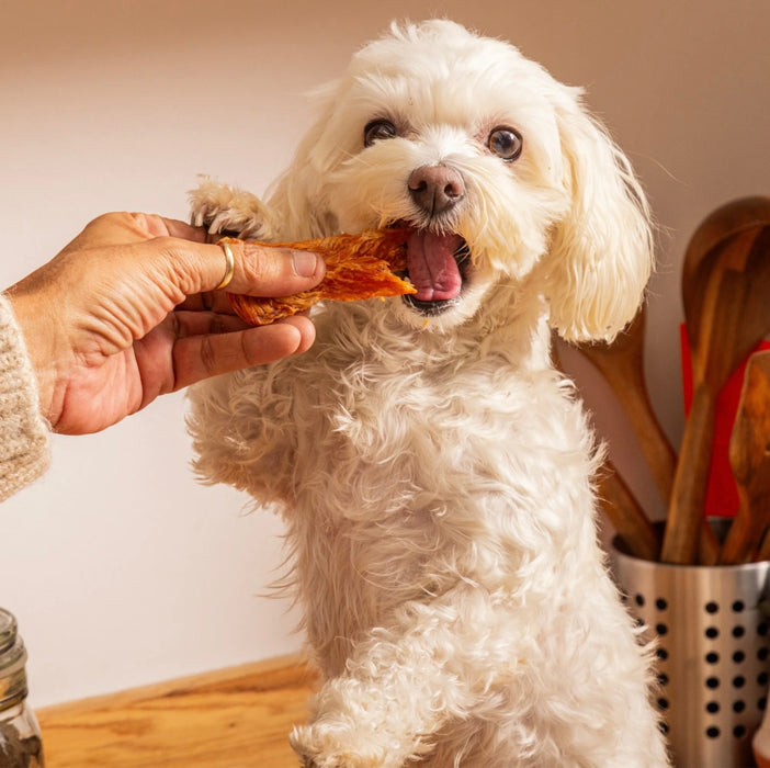 Chicken Jerky 150g
