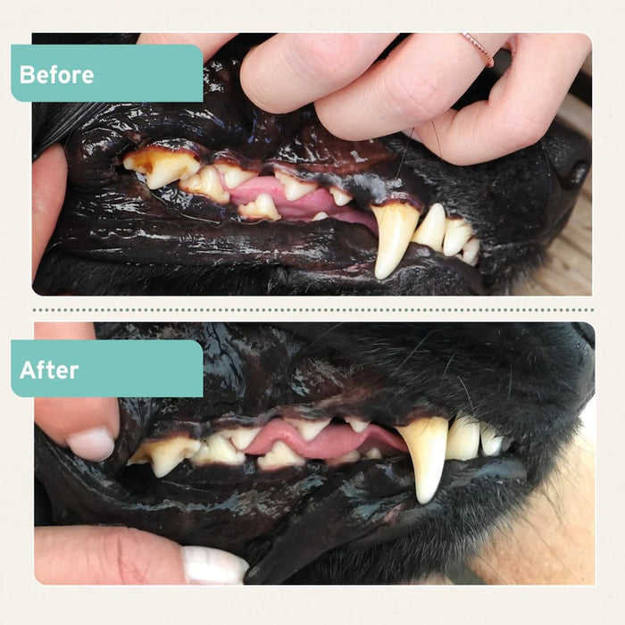 AniForte Dental Powder for Dogs & Cats 80g