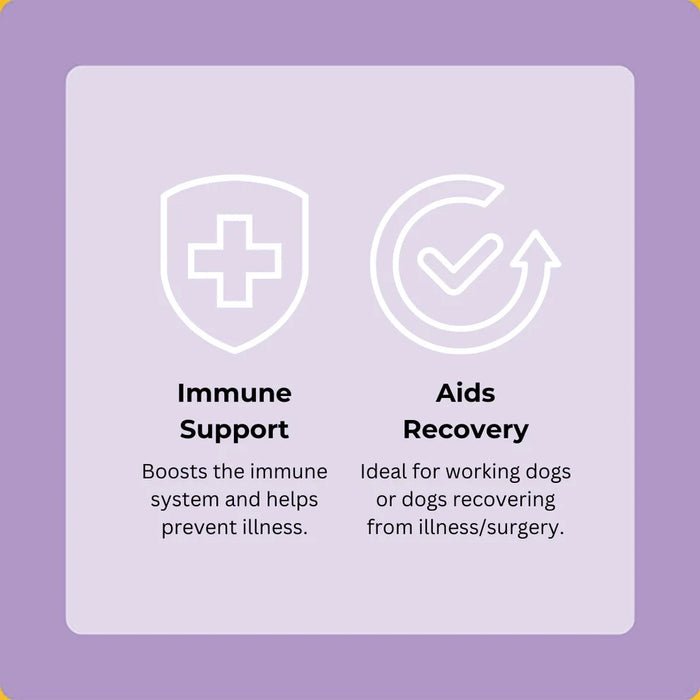 Axels Elixir Festive Turkey Happy Bones