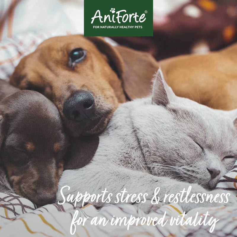 AniForte Wellbeing Globules 15g