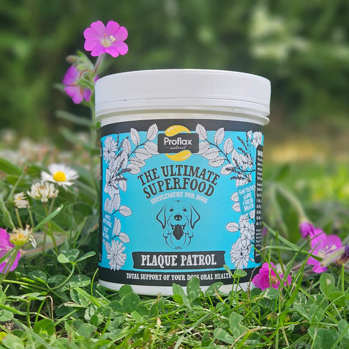 Proflax Plaque Patrol 325g