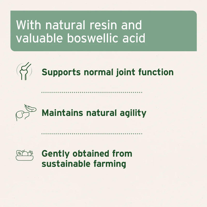 AniForte Frankincense (Boswellia) Capsules 100