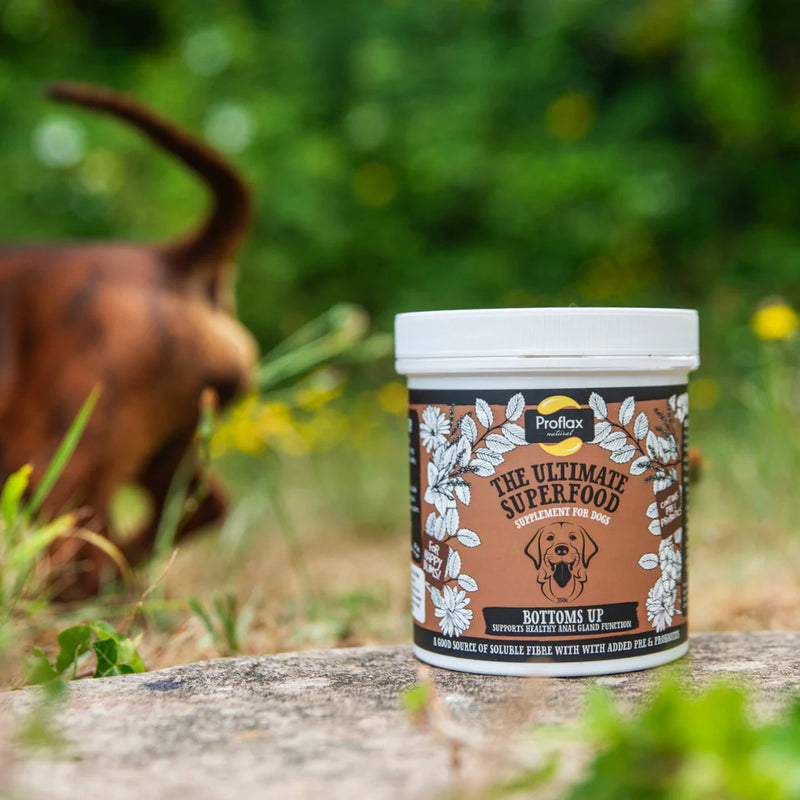Proflax Bottoms Up Digestive Support Powder for Dogs – 300g