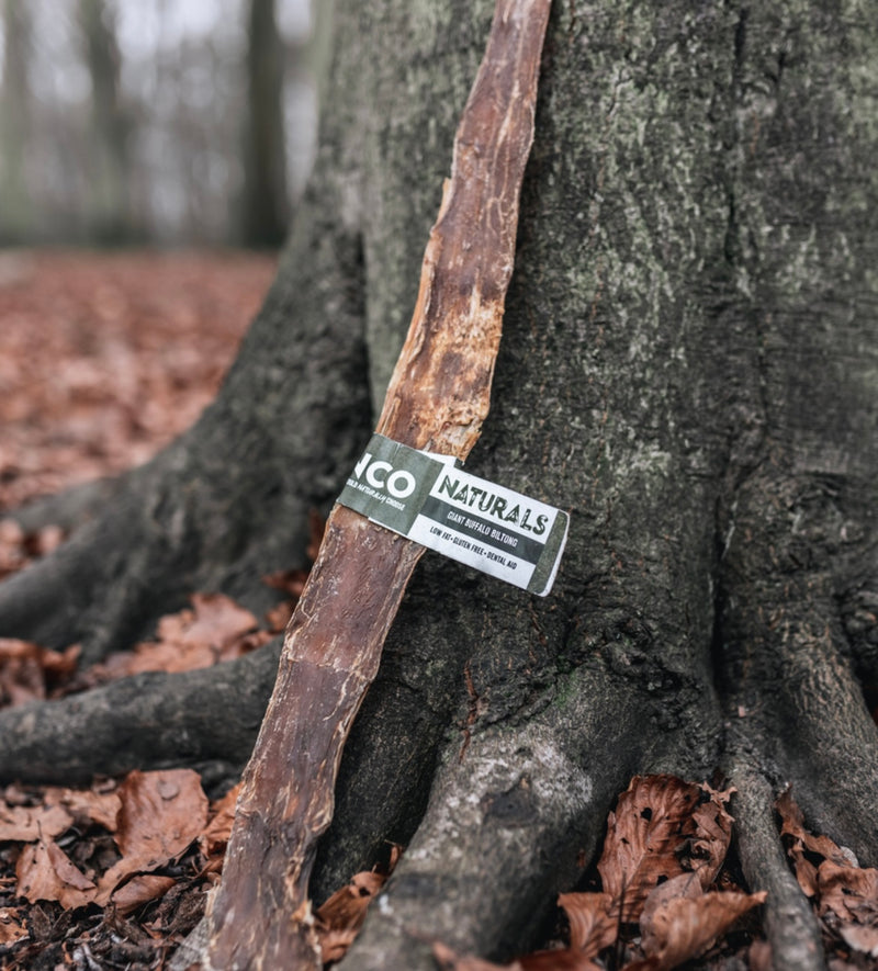 ANCO Giant Buffalo Billtong