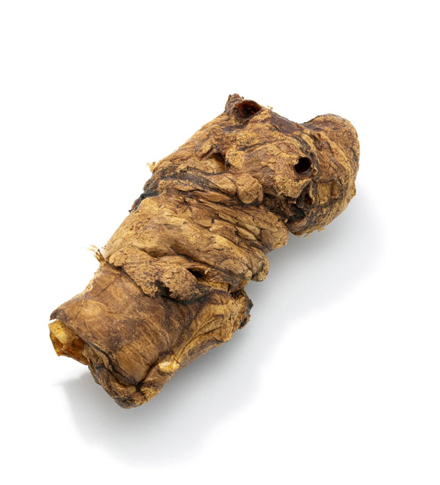 Buffalo Trachea wrapped in Lung