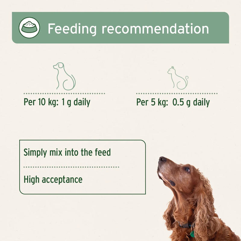 AniForte MSM Powder for Dogs & Cats 300g