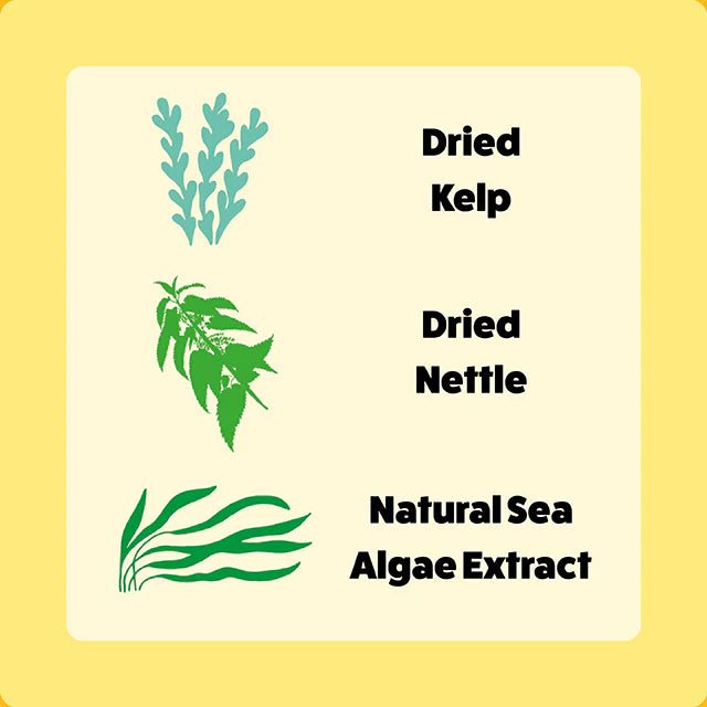 Axels Elixirs Duck Happy Bones