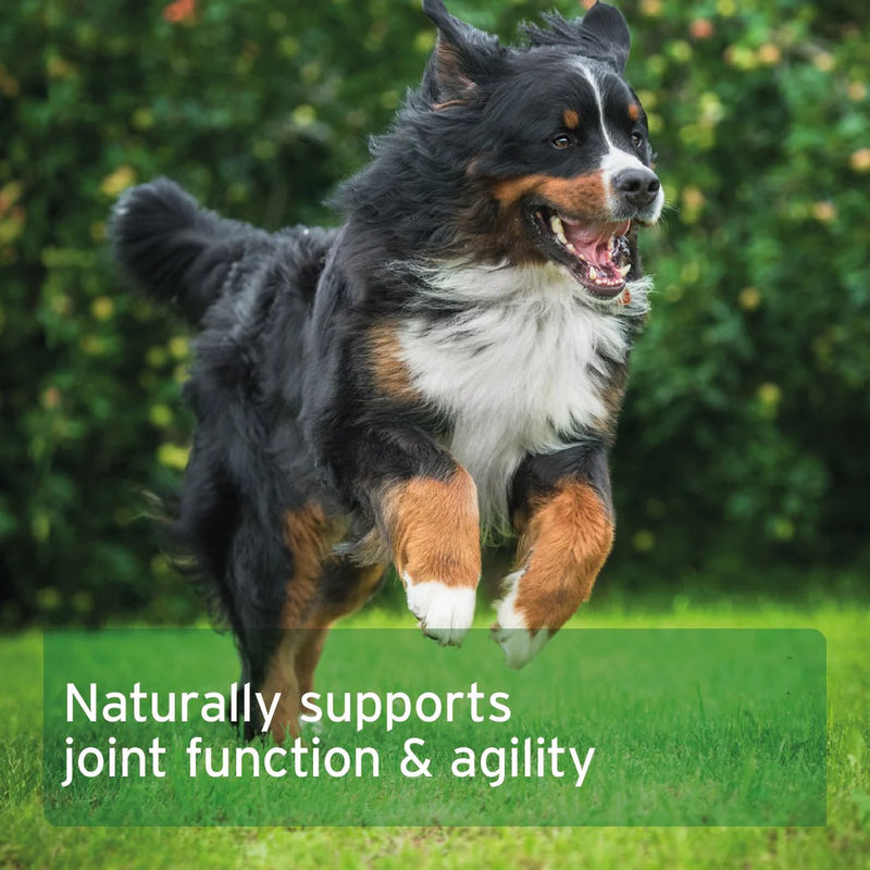 AniForte Agility Vet Joint Care Tablets for Dogs - 120 tablets