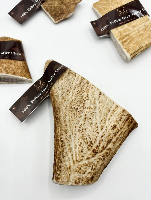 Fallow Deer Antler Chew Large