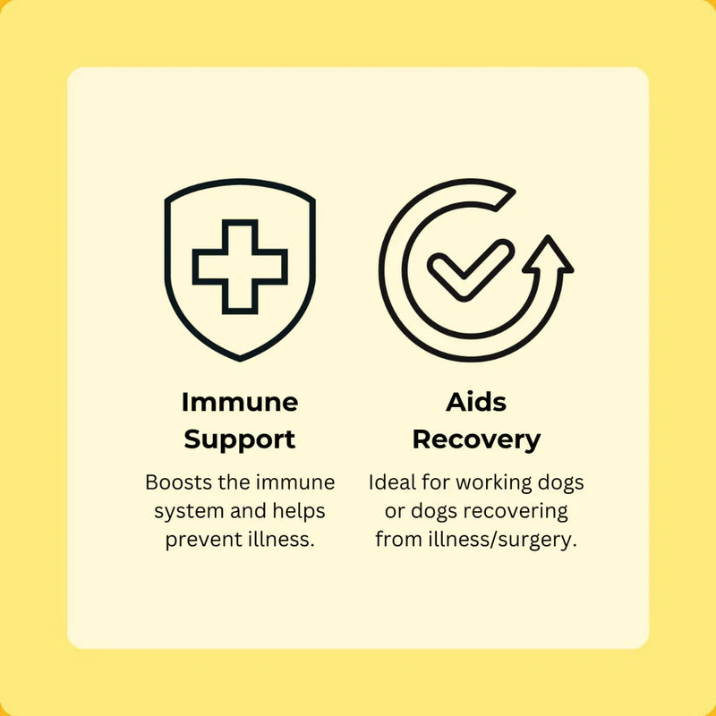 Axels Elixirs Duck Happy Bones