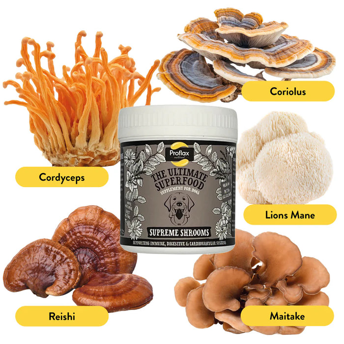 Proflax Supreme Shrooms for Dogs