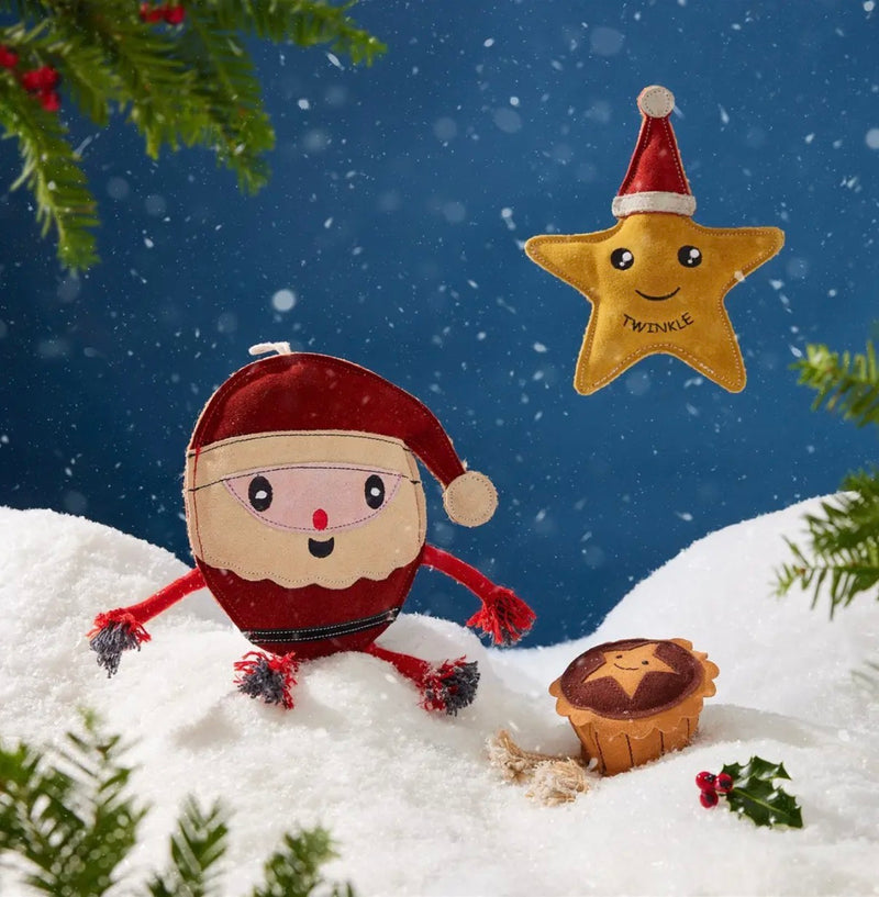 Chris Christmas, Eco Dog Toy