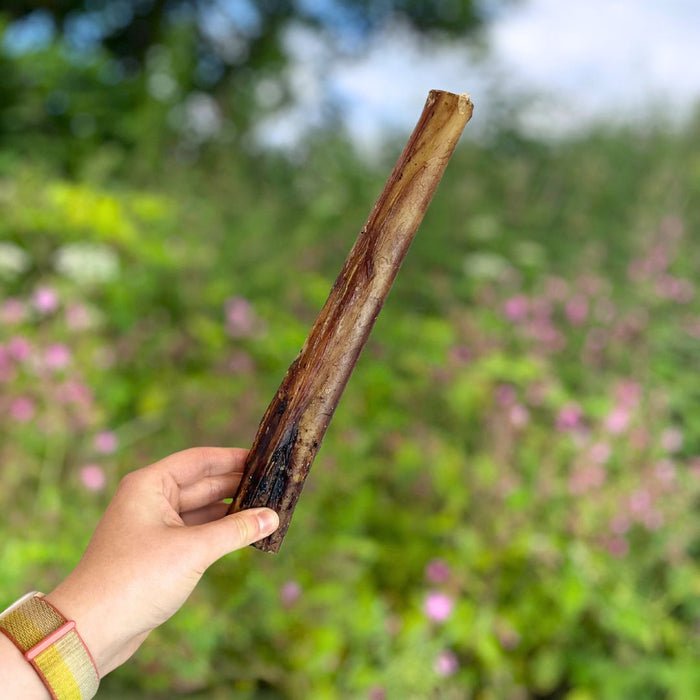 Ostrich Marrow Bones