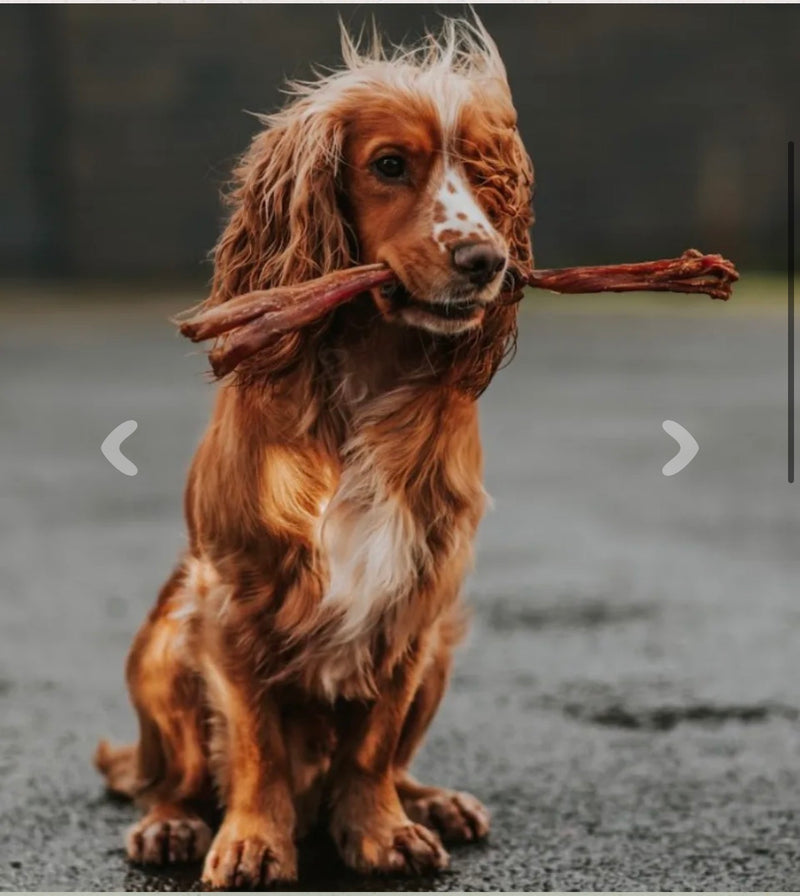 ANCO Beef Tendons