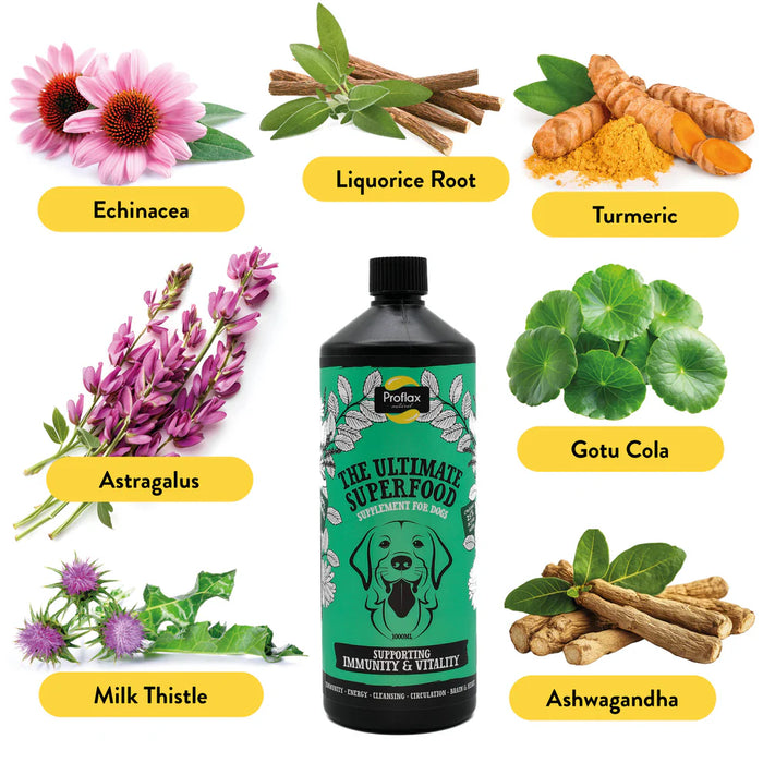 Proflax Immune & Vitality 250ml