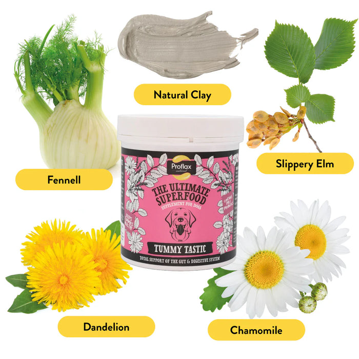 Proflax Tummy Tastic for Dogs 350g