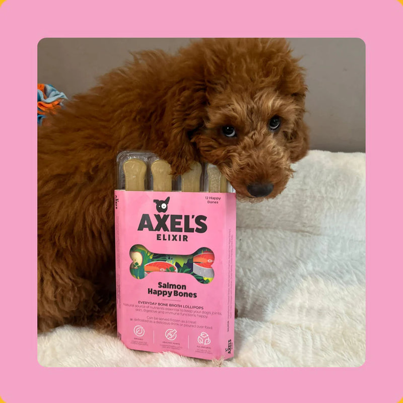 Axels Elixirs Salmon Happy Bones
