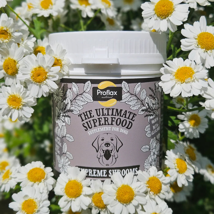Proflax Supreme Shrooms for Dogs