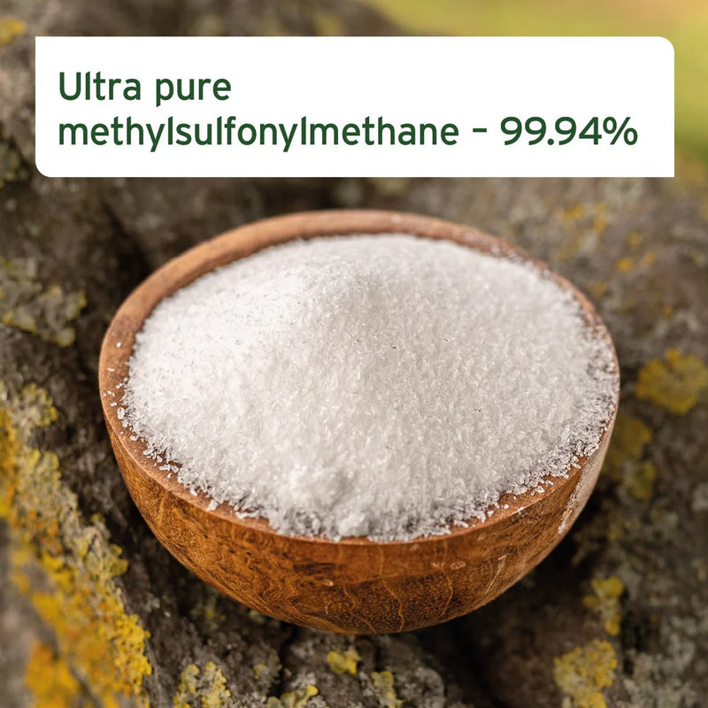 AniForte MSM Powder for Dogs & Cats 300g