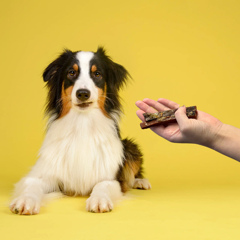 Salmon Skin Strips 300g