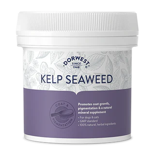 Kelp Seaweed Powder for Dogs & Cats 500g