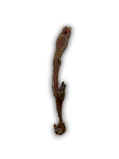 ANCO Beef Tendons