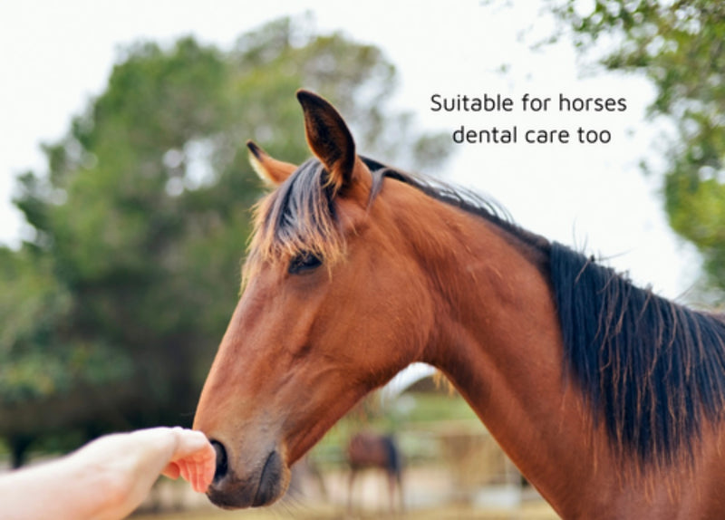 LUCAA+ Pet Probiotic Dental Care - 100ml Spray