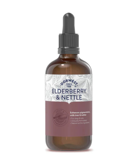 Dorwest Elderberry & Nettle Extract for Dogs & Cats 100ml