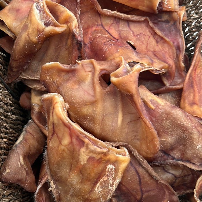 Pigs ear