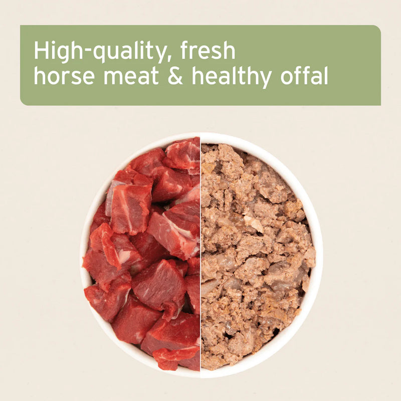 AniForte Pure Horse - Wet food for Dogs 400g