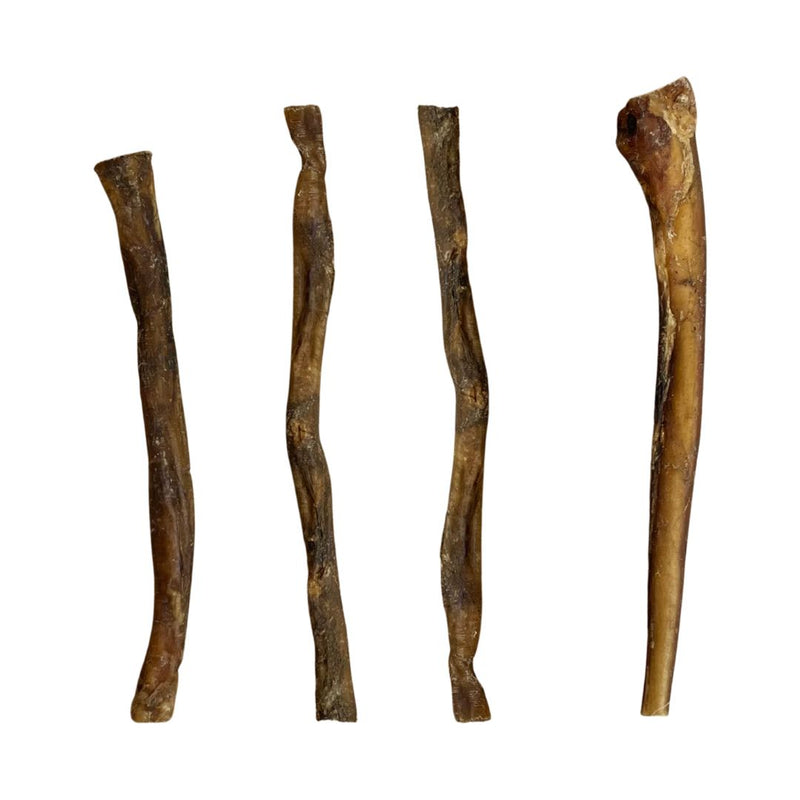 Buffalo Pizzle approx 24cm