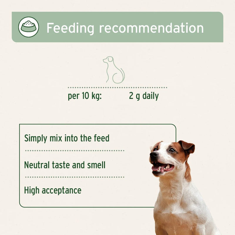 AniForte Collagen Powder for Dogs 250g