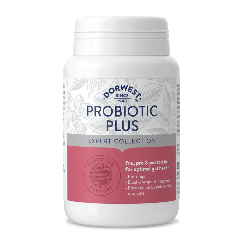 Dorwest Probiotic Plus 200 tablets