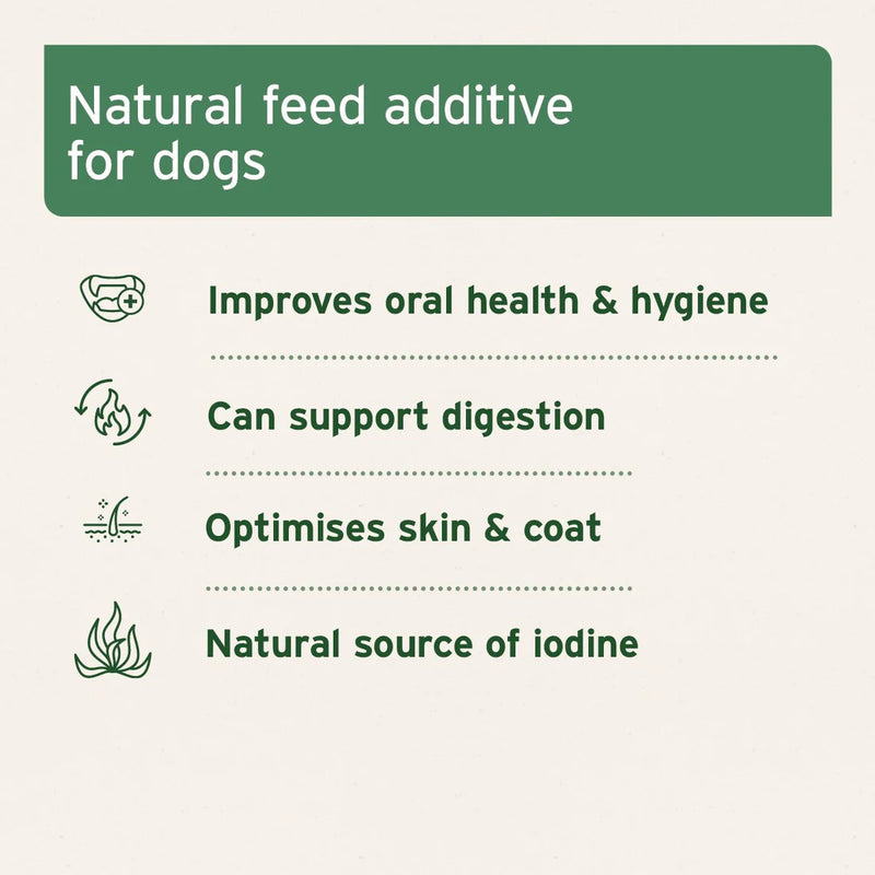 AniForte Seaweed Powder 250g