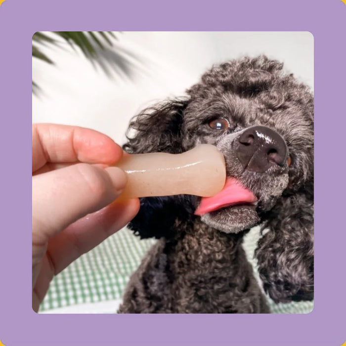 Axels Elixir Festive Turkey Happy Bones