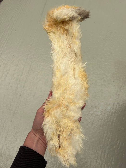 XL Hairy Rabbit Skin (approx 45cm)