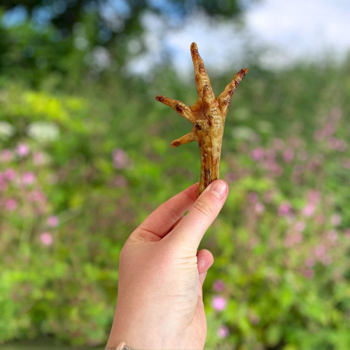 Chicken Feet 400g bag