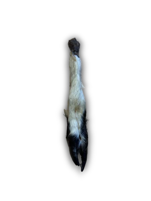ANCO Hairy Lamb Trotter