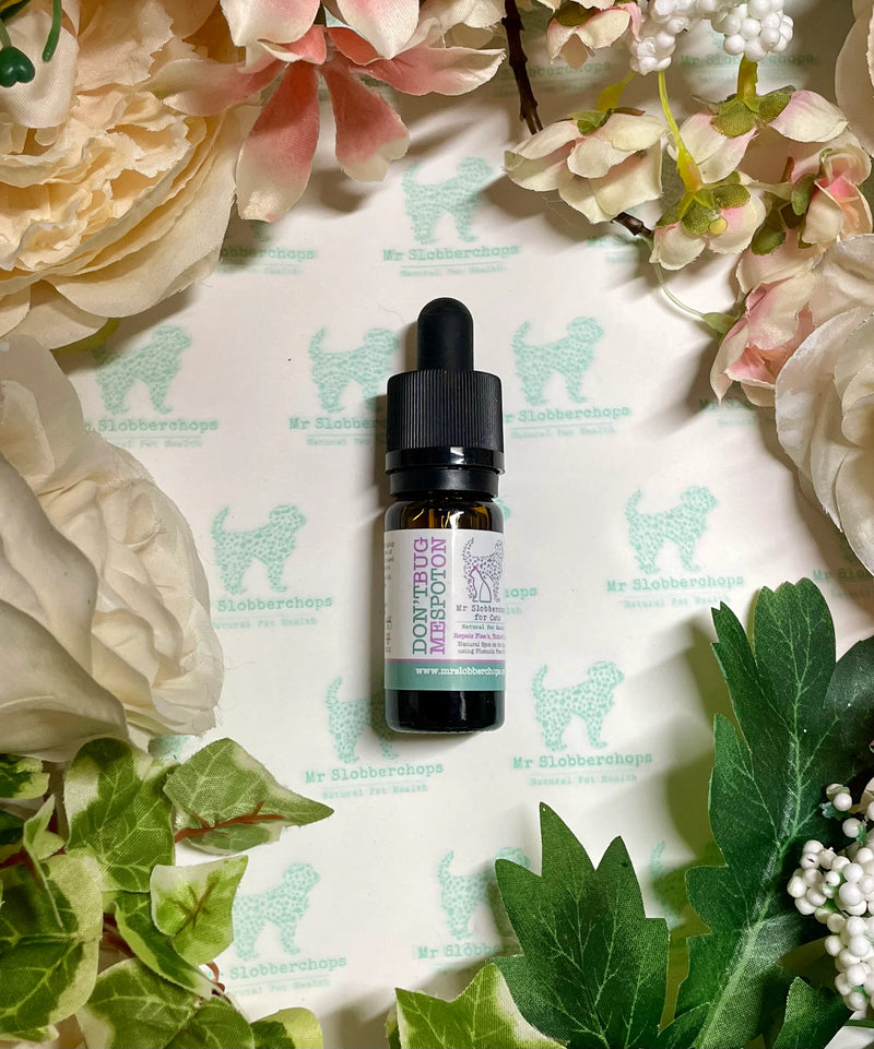 Mr Slobberchops Cat Spot-On