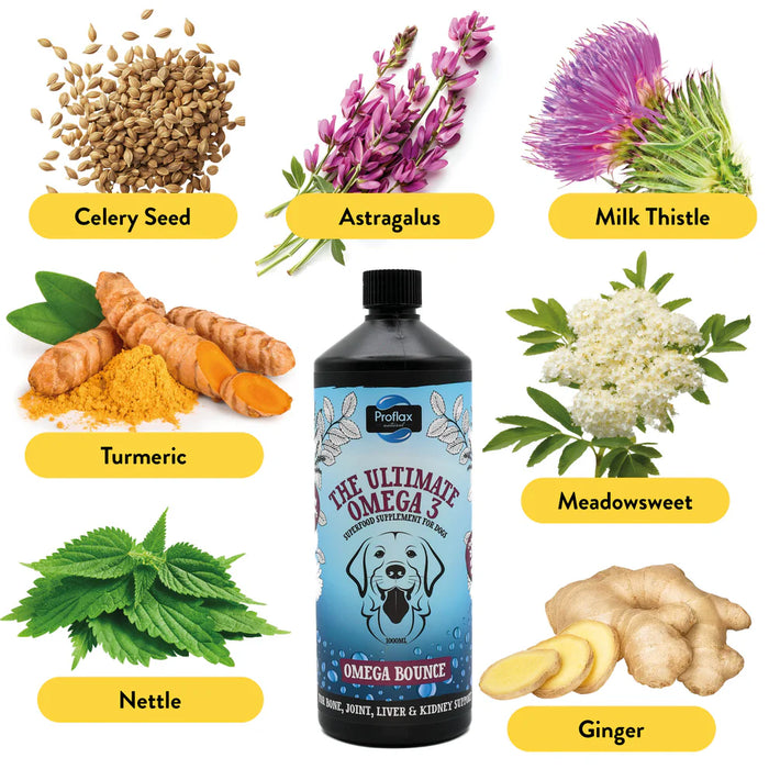 Proflax Omega Bounce 250ml