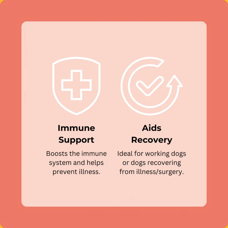 Axels Elixirs Venison Happy Bones