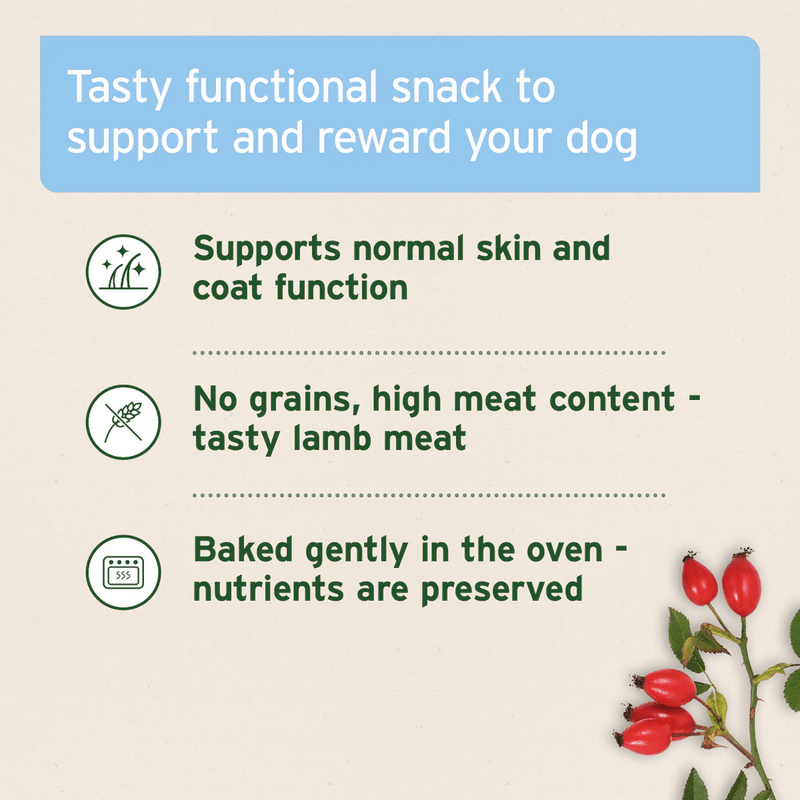 AniForte Skin & Coat Snack 300g